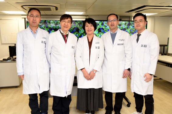 Led by Professors Jane Zhou Jie (middle) and Yuen Kwok-Yung (second left) from the Department of Microbiology, School of Clinical Medicine, HKUMed, the research team has successfully cultured the previously hard-to-grow human rhinovirus C (HRV-C) using their self-developed ‘human respiratory organoids (mini-organs)’.
 